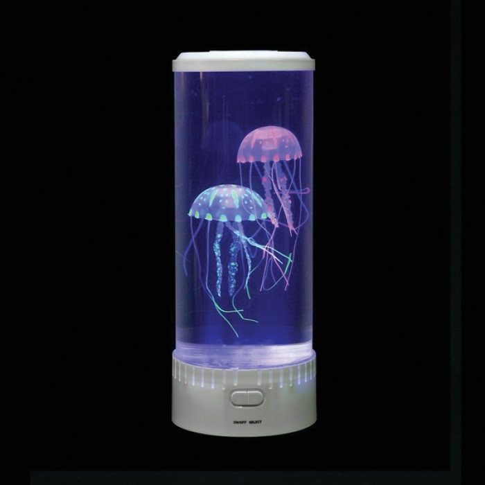 Lampe torche UV LED - Asco & Celda