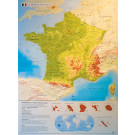 Carte de France en relief