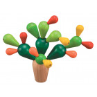 Mikado cactus